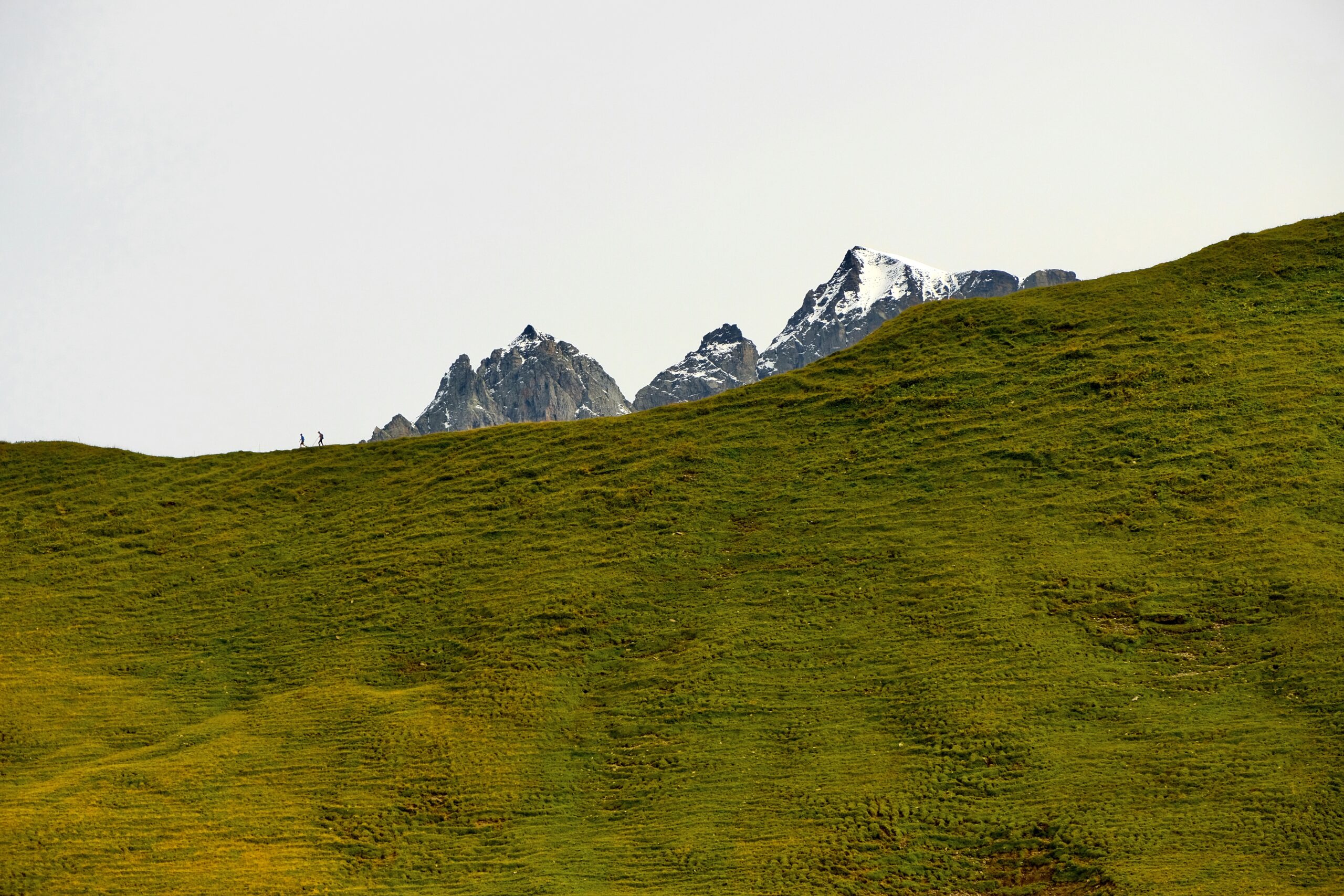 Two hikers walk along a grassy hillside with jagged, snow-capped mountains in the distance.